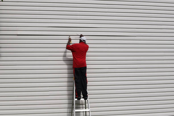 Best Aluminum Siding Installation  in Mclean, TX